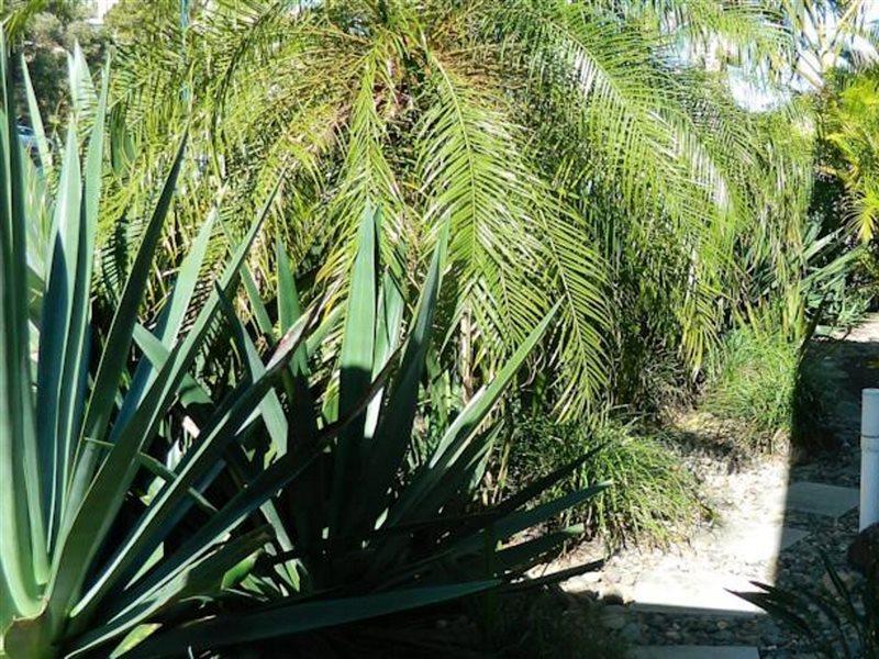 Miami منتجع صن شاين بيتش المظهر الخارجي الصورة